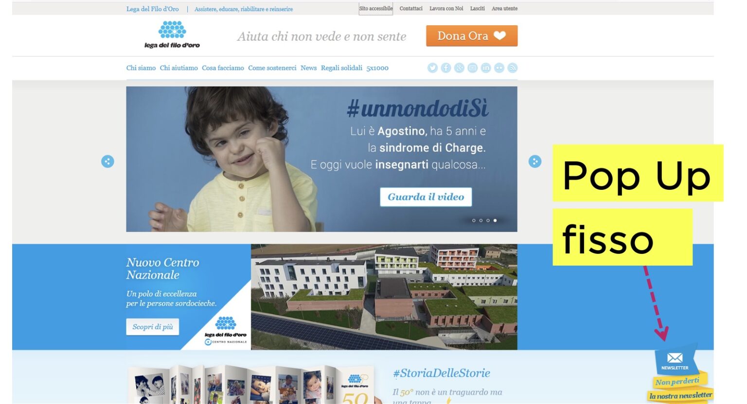 Popup Raccolta Fondi Sito Web Fundraising.it