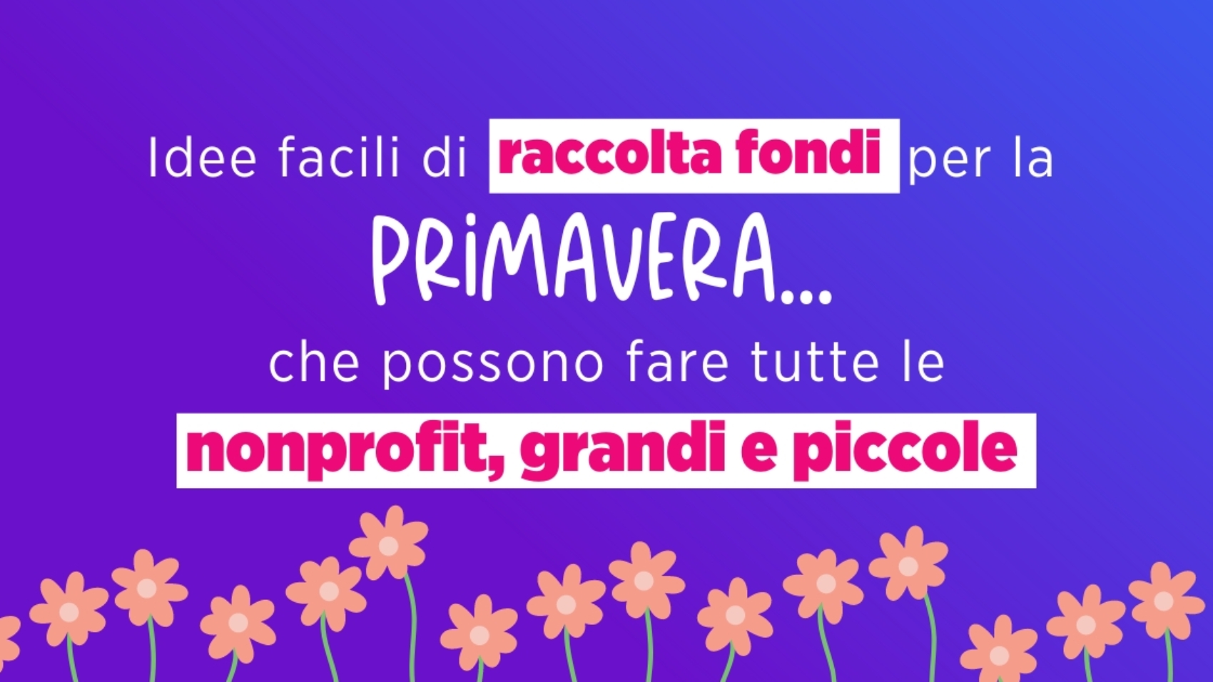 primavera nonprofit