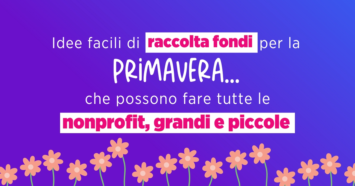 primavera nonprofit